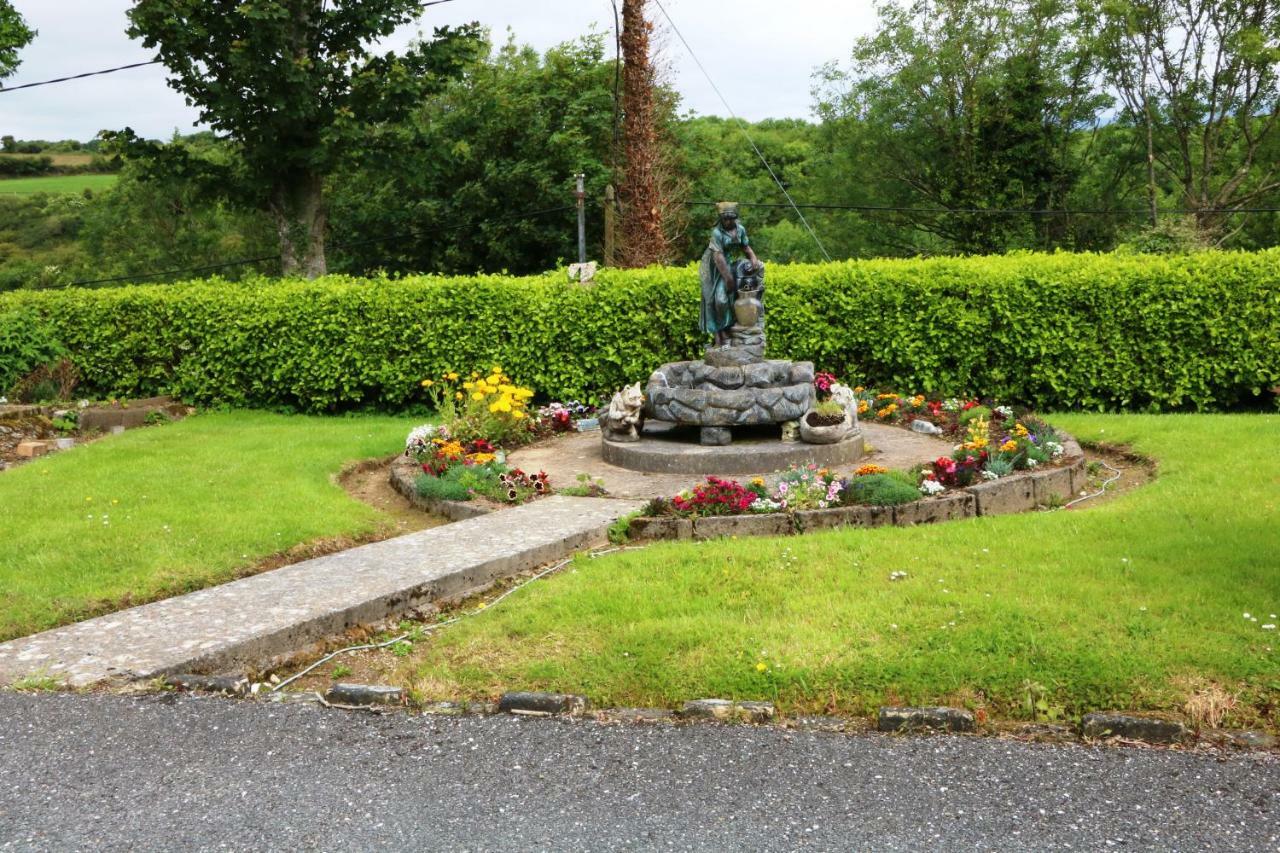 Comeragh View Bed & Breakfast Dungarvan  Exterior photo